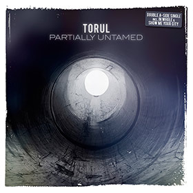 Torul-Partially-Untamed-__-Booklet-1